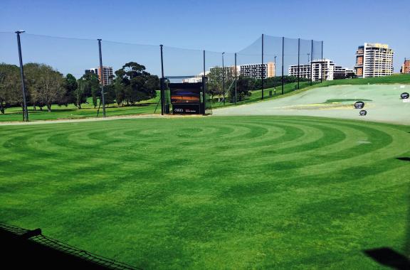 Moore Park Golf